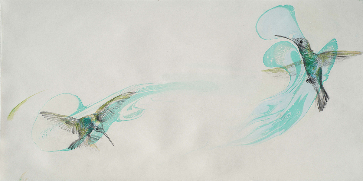 Dibujo de un colibrí sobre papel ebrú