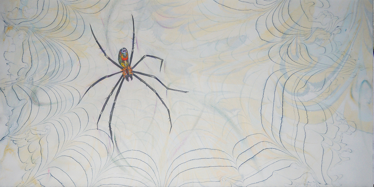 Dibujo de una araña sobre papel ebrú