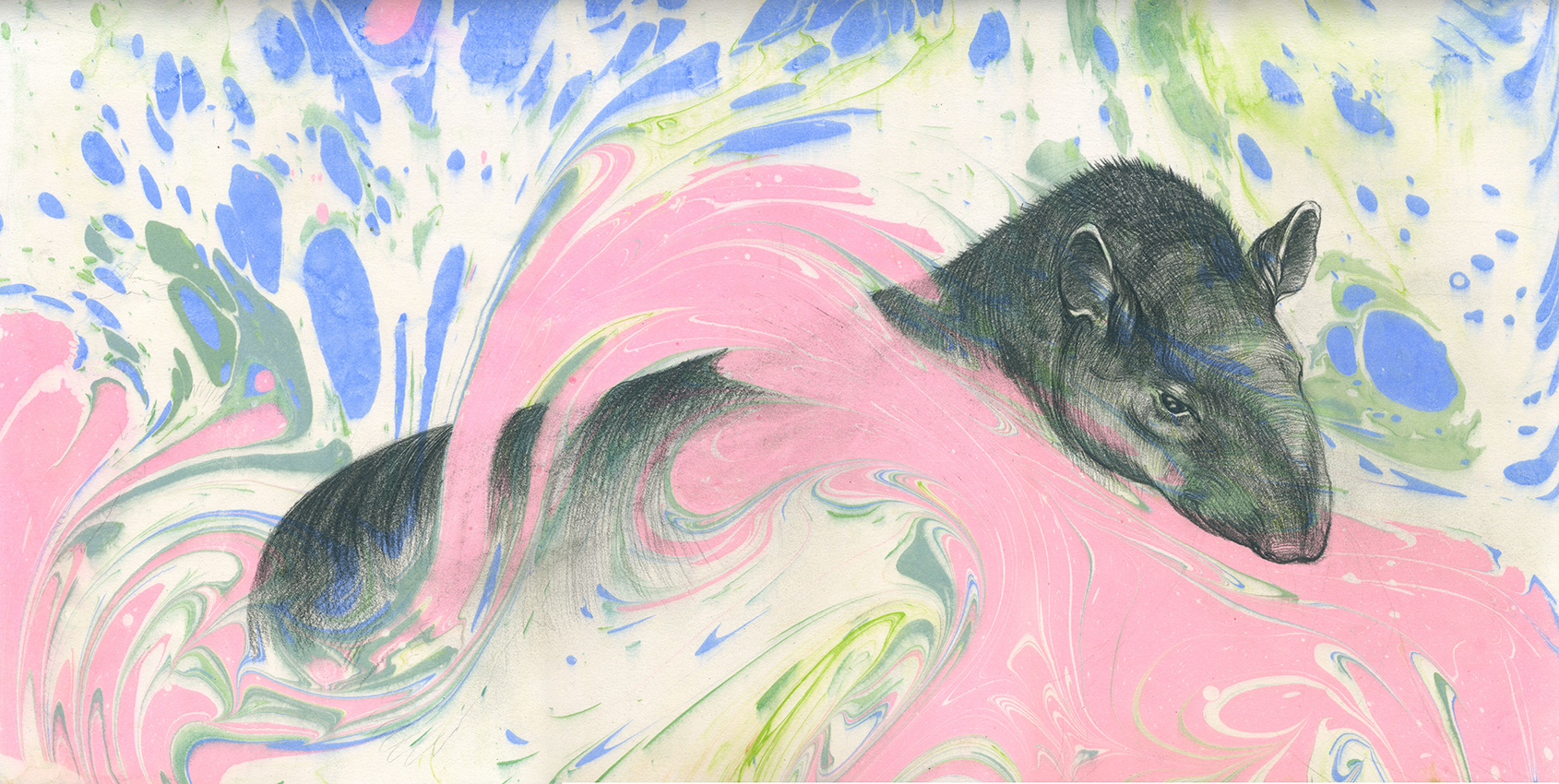 El Tapir